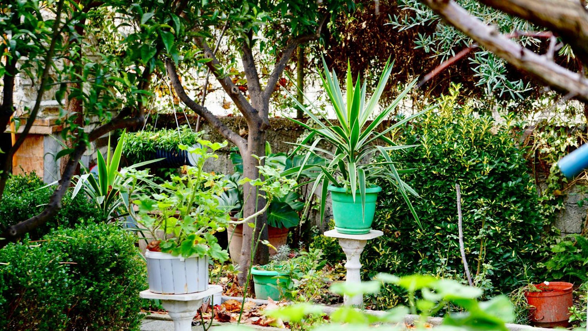 Villa Duka วญอเรอ ภายนอก รูปภาพ