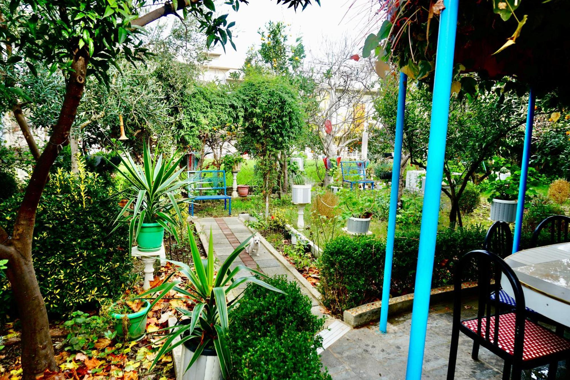 Villa Duka วญอเรอ ภายนอก รูปภาพ